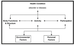 <p>• A collaborative and interdisciplinary approach</p><p>• Includes</p><p>- Advocacy</p><p>- Program development- > needs assessment 1st</p><p>- Program implementation & evaluation- > Trialing- collecting data to see if goals are being met</p><p>- Policy revision and development</p><p>- Occupational justice</p><p>- doing, being, belonging, becoming</p>