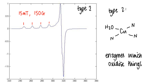 <p>These proteins are enzymes which oxidise things.</p>