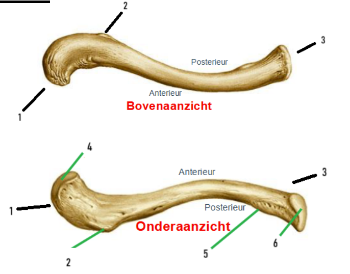 <p>3?</p>