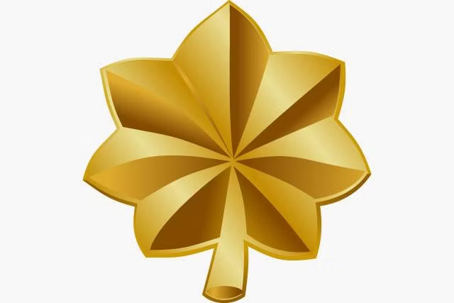 <p></p>