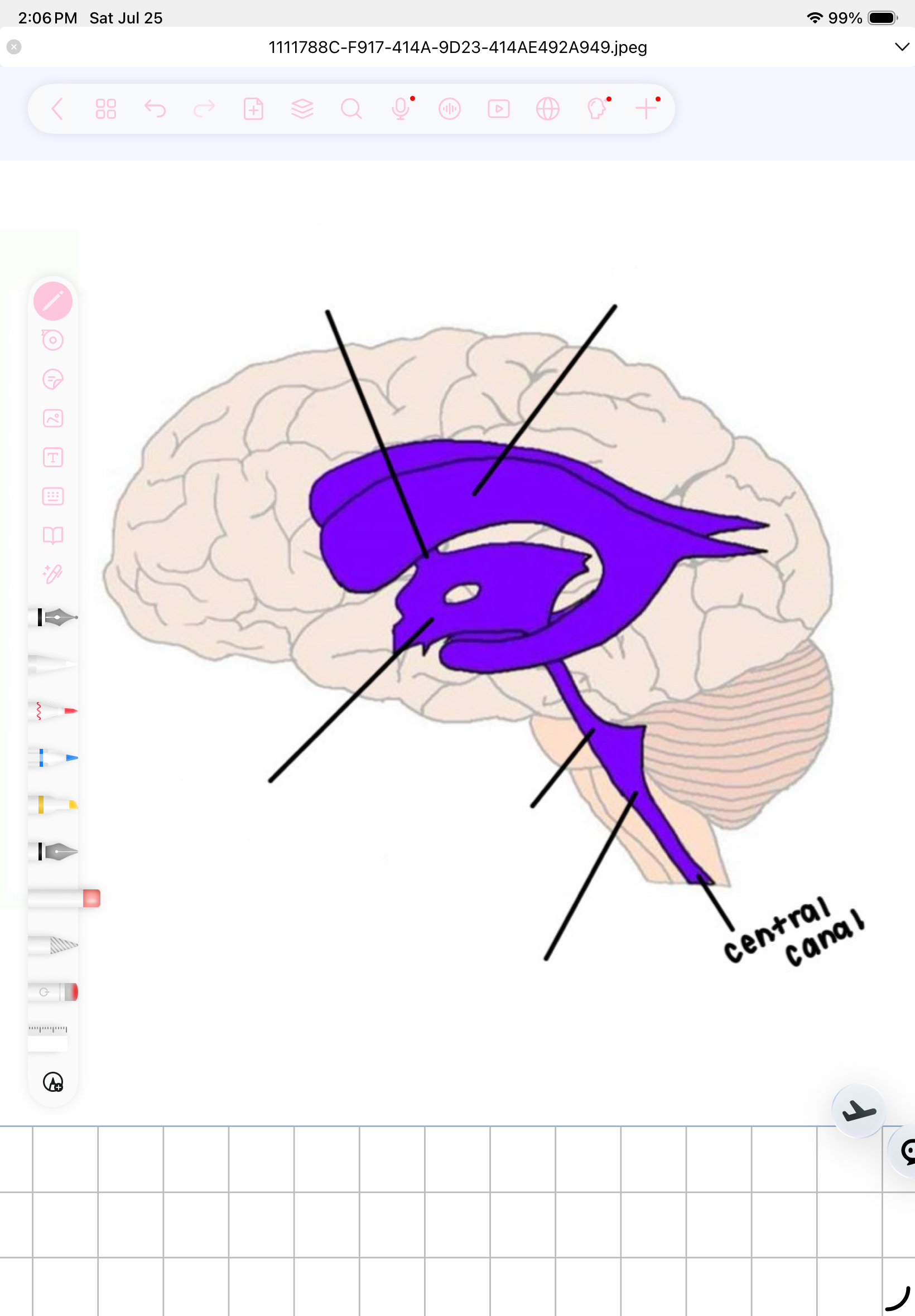 term image