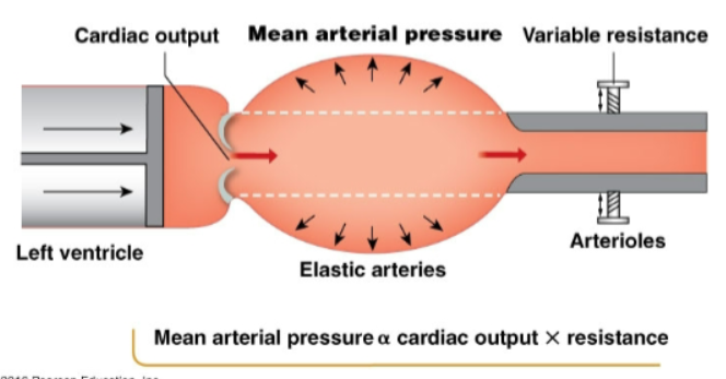 <p>function of CO and resistance in arterioles (peripheral resistance). The volume of blood in arteries is determined by CO and the amount flowing out of arteries (which is layered by changing peripheral resistance). As arterial volume increases, pressure increases. Average arterial pressure during a single cardiac cycle</p>