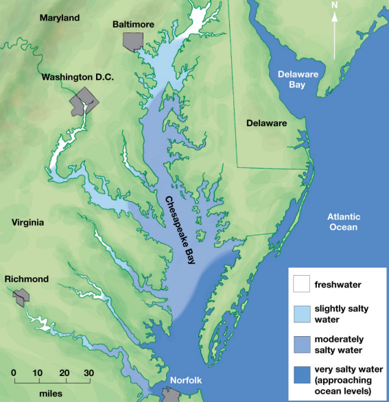 <p>Estuaries </p>