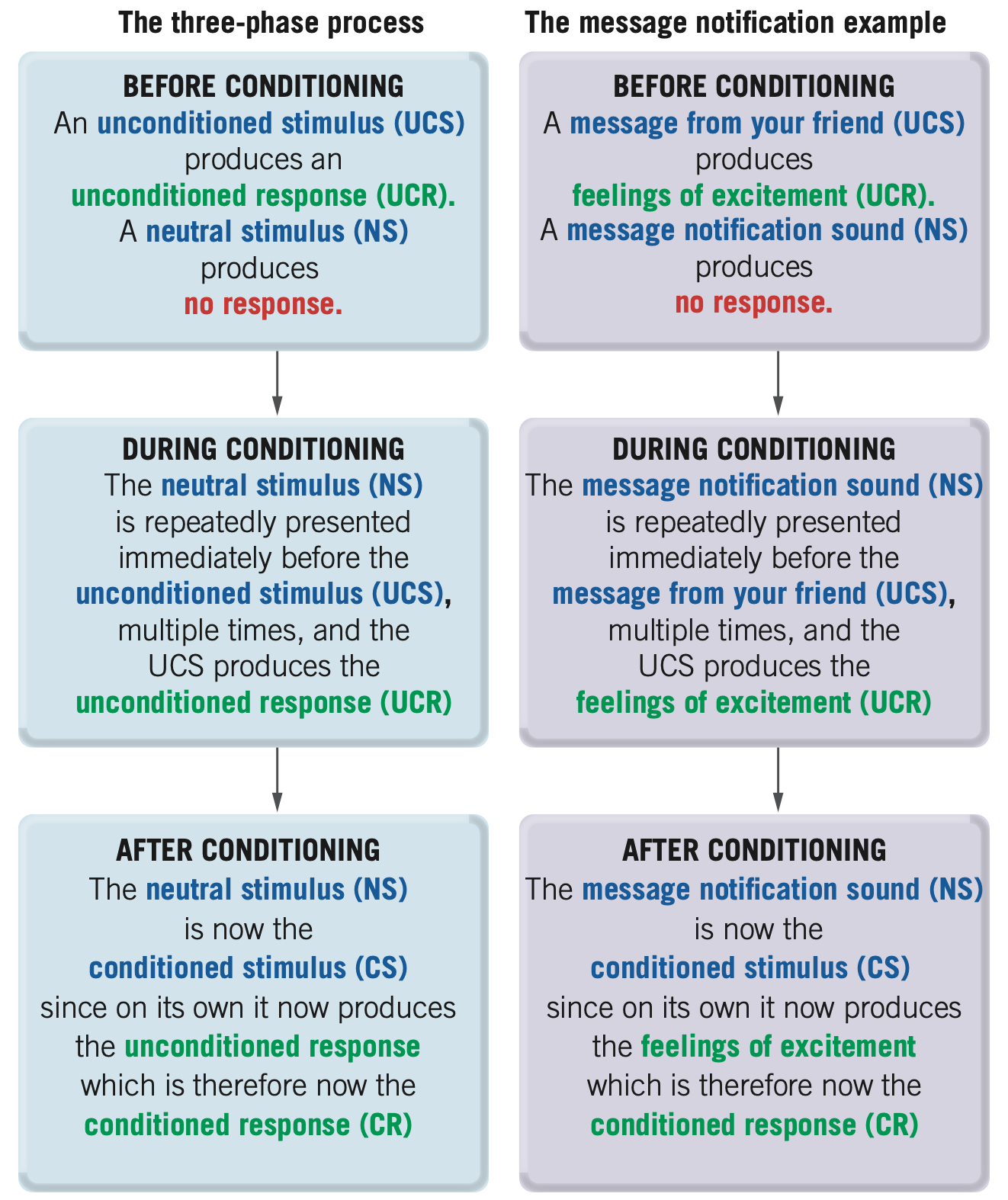 <p><strong>form of learning in which a previously neutral stimulus (NS) becomes associated with a naturally occuring stimulus, so that it triggers an AUTOMATIC LEARNED response </strong></p><p>3 phase process:</p><ul><li><p>before conditioning (1)</p><ul><li><p><em>UCS produces UCR </em></p></li><li><p><em>a NS produces no response</em></p></li></ul></li><li><p>During conditioning (2)</p><ul><li><p><em>the NS is REPEATEDLY presented right before UCS</em></p></li><li><p><em>UCS produces the UCR</em></p></li></ul></li><li><p>After conditioning (3)</p><ul><li><p>The NS is now the CS alone, as it produces the UCR</p></li><li><p>in which, the UCR is now the CR. </p></li></ul></li></ul><p></p>