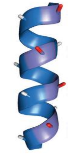 <p>point outwards into space</p>