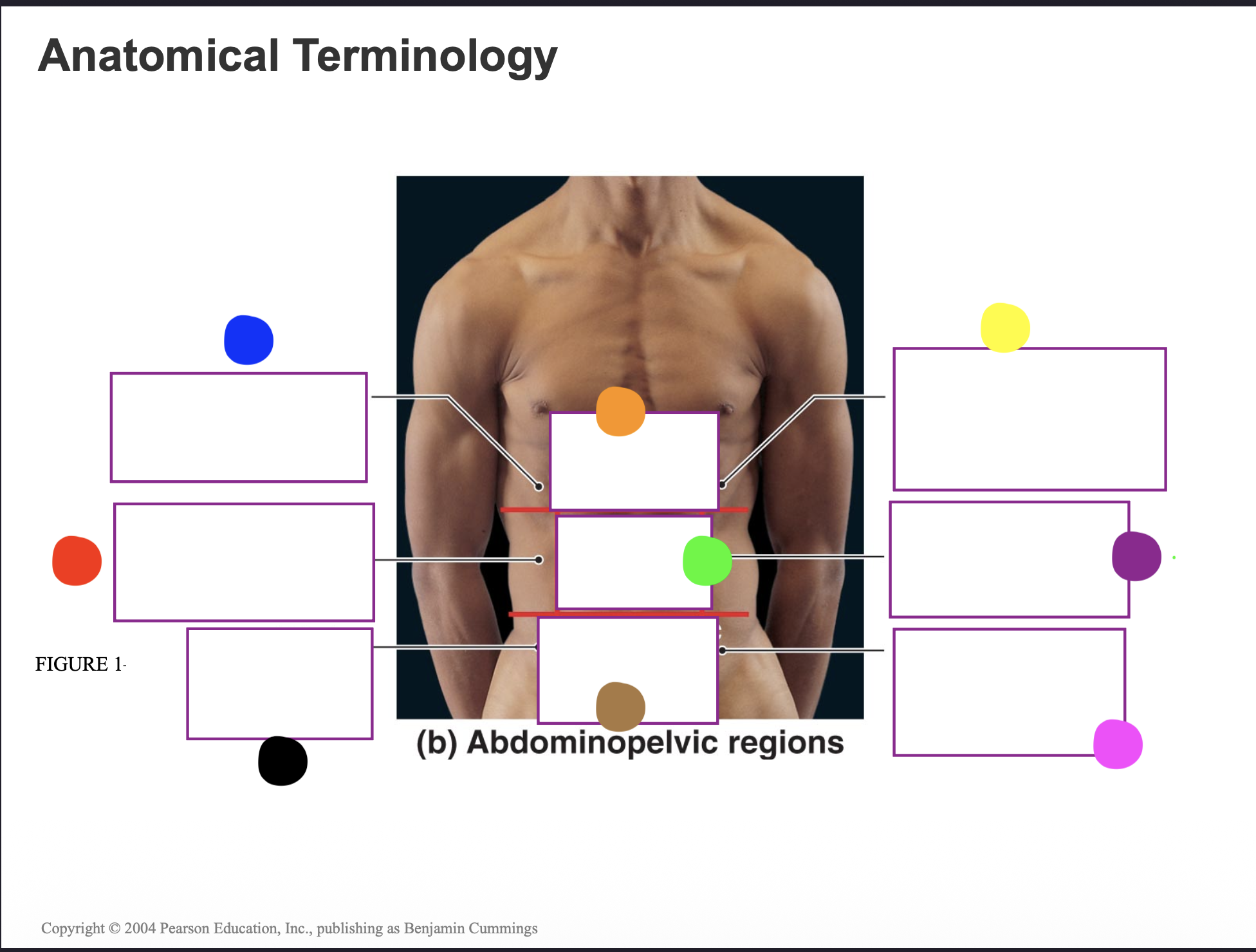 <p>What does the red dot represent?</p>
