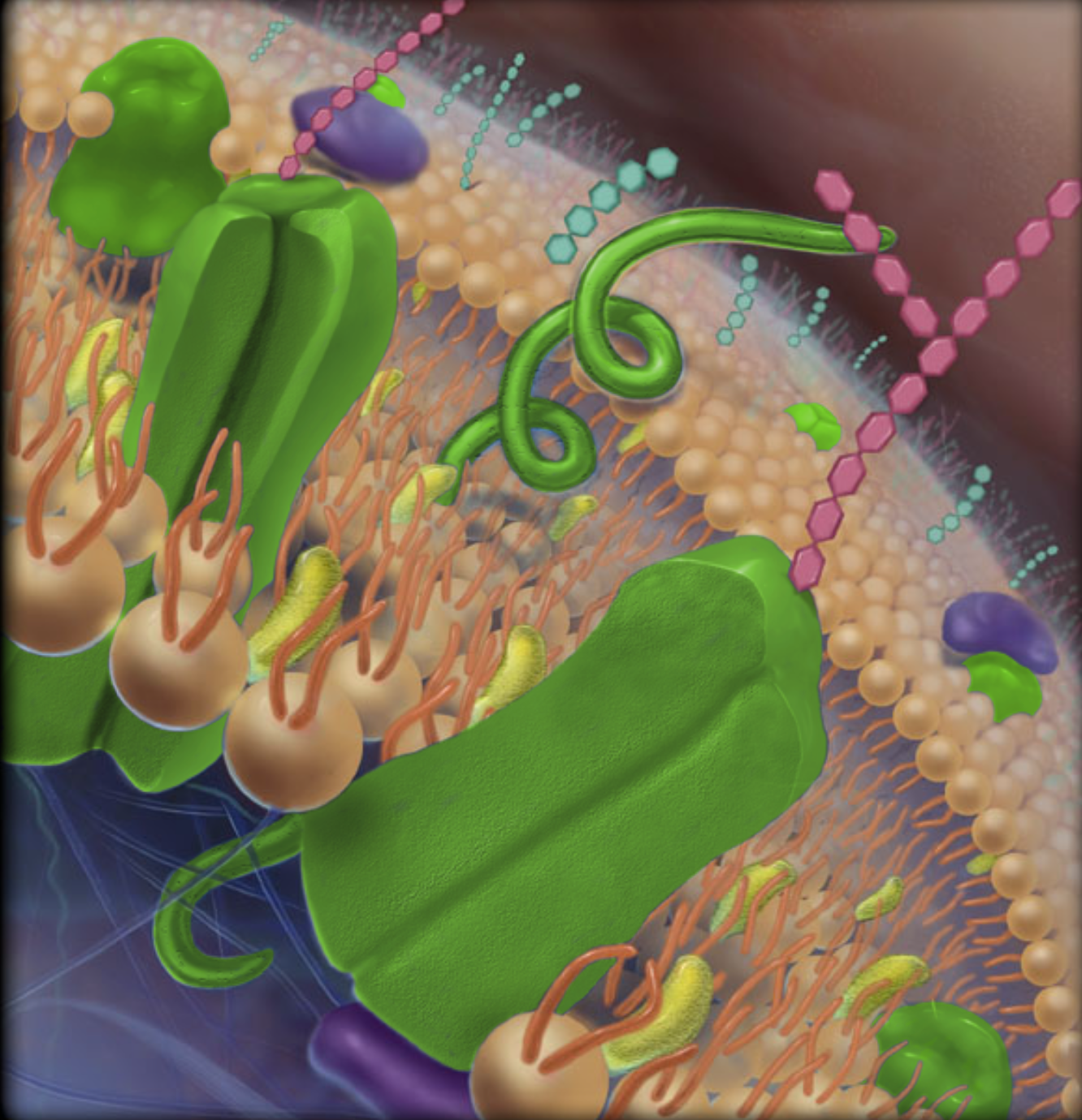 <p>part highlighted in neon green</p>