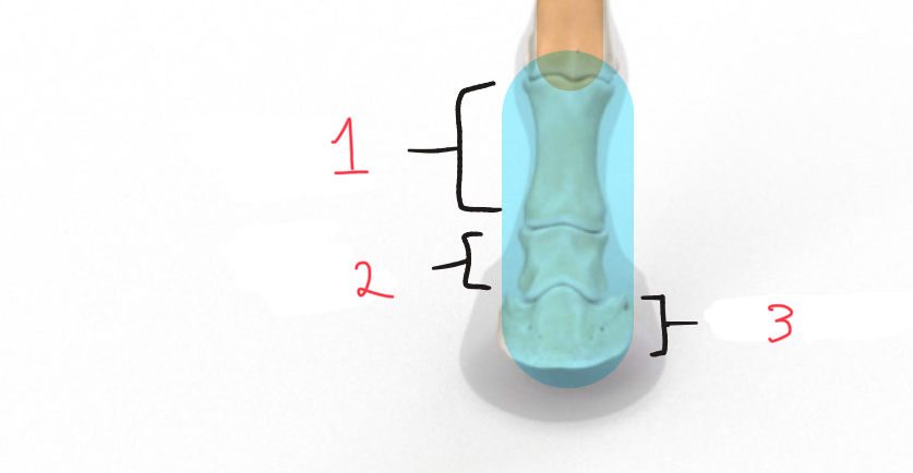 <p>1 is____; 2 is____; 3 is ____</p>