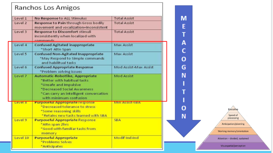 <p>•“thinking about thinking”</p><p>•The awareness and regulation of one’s own cognitive processes</p><p>•Planning how to approach a task- monitoring comprehension</p><p>during the process and evaluating performance afterward.</p><p>•Planning, monitoring, evaluating, studying, problem-solving,</p><p>preparation.</p><p>•Helps learners become more confident and independent.</p><p></p>