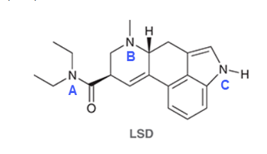 <p>What hydrogen marked is the most basic?</p>