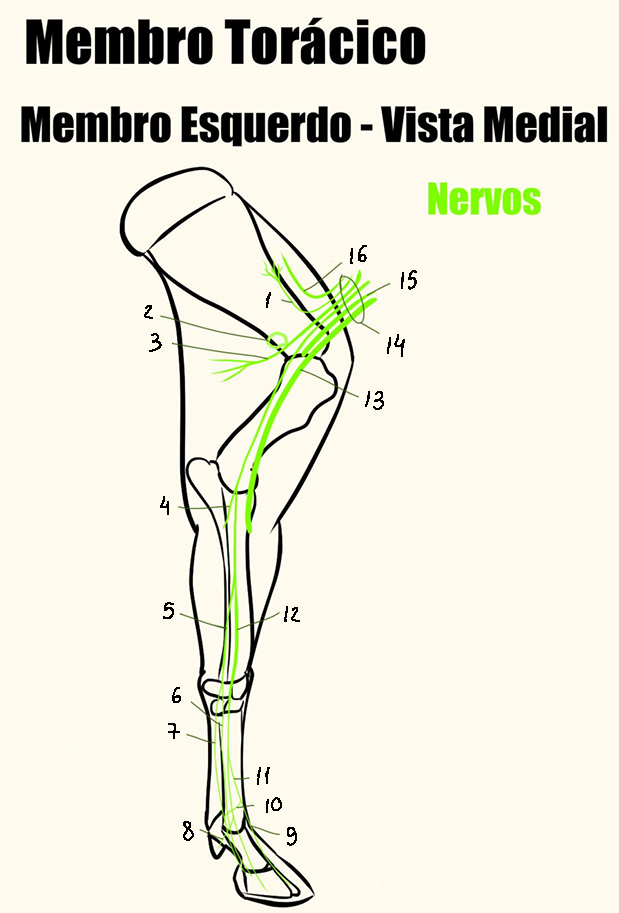 <p>6</p>
