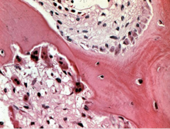 <p>What does this image show?</p>