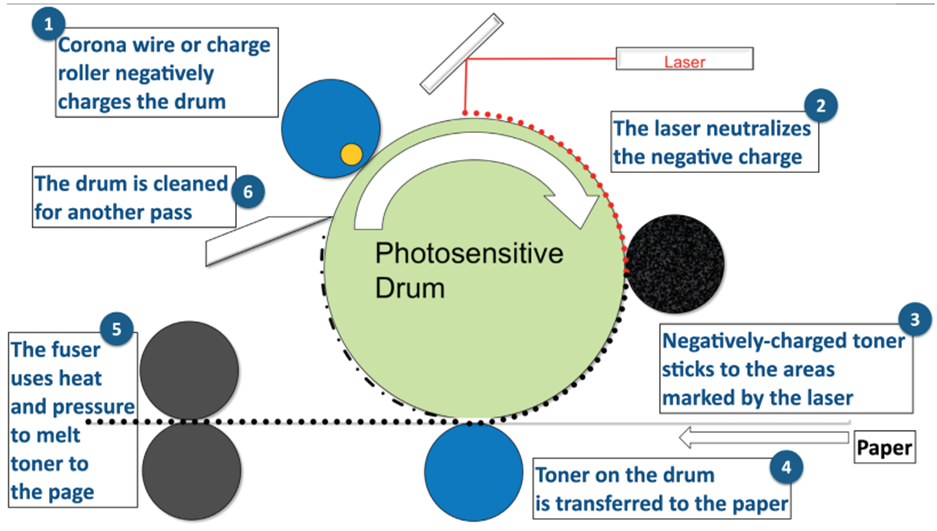 <p><strong>A:</strong> Photosensitive drum</p>