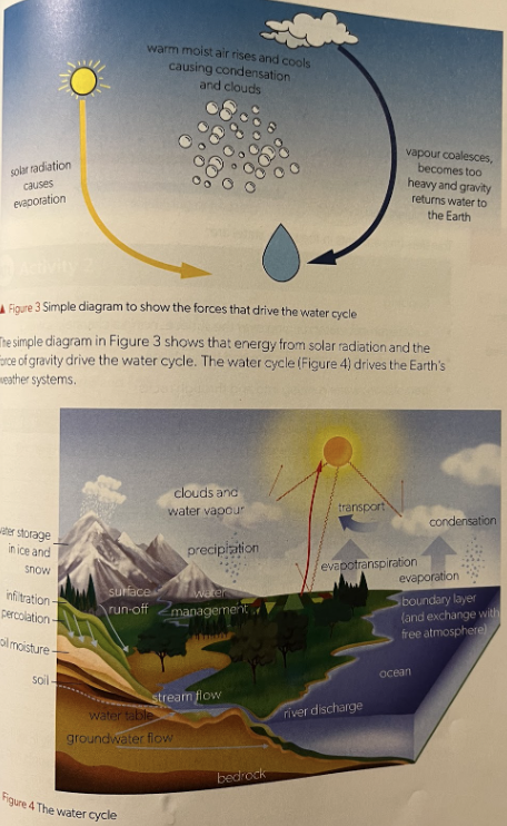 <ol><li><p>solar radiation, <strong>evaporates</strong></p></li><li><p>warm/moist air rises, <strong><em>condensation</em></strong><em> (</em><strong><em><u>clouds</u></em></strong><em><u>!)</u></em></p></li><li><p><strong><em>RAIN</em></strong><em>.</em></p></li></ol><p></p><p>**<strong>other water <em><u>transfers</u></em>—</strong></p><ul><li><p>stores: ex. oceans, soil, aquifers/groundwater, lakes, streams, ice caps</p></li><li><p><strong>transferred by</strong>: wind, flooding, runoff, soil infiltration</p></li><li><p><strong>EVAPOTRANSPIRATION</strong></p></li></ul><p></p>