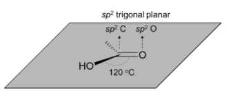 <p><strong><u>Physical Properties of Carboxylic Acids </u></strong></p><p>(1) <strong>Molecular Geometry:</strong> ______</p>