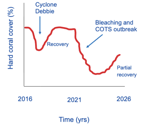 <p>A fluctuating ecosystem trajectory (graph)</p>