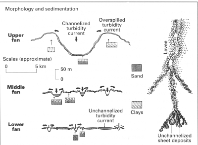 <p>Submarine fan</p>