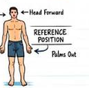 <p>Anatomical Position</p>
