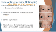 <p>In primary gaze, what is the deviation of an overacting inf oblique muscle?</p>
