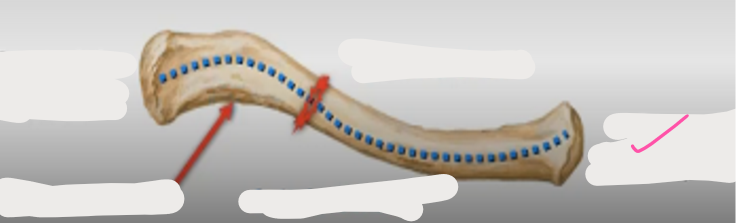 <p>What’s this?</p>