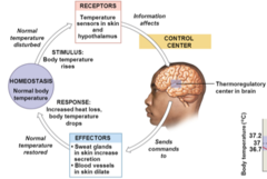 <p>a detectable change in the internal or external environment that disrupts a stable condition and triggers a homeostatic response.</p>
