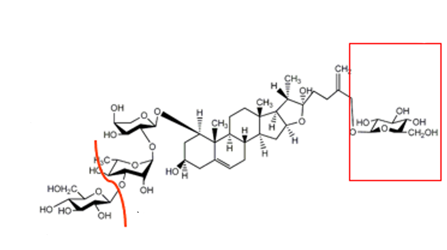 <ul><li><p>especie</p></li><li><p>parte da planta</p></li><li><p>nome</p></li><li><p>propriedades farmacologicas:</p></li><li><p>caracteristicas</p></li></ul><p></p>