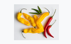 <p>spicy</p>