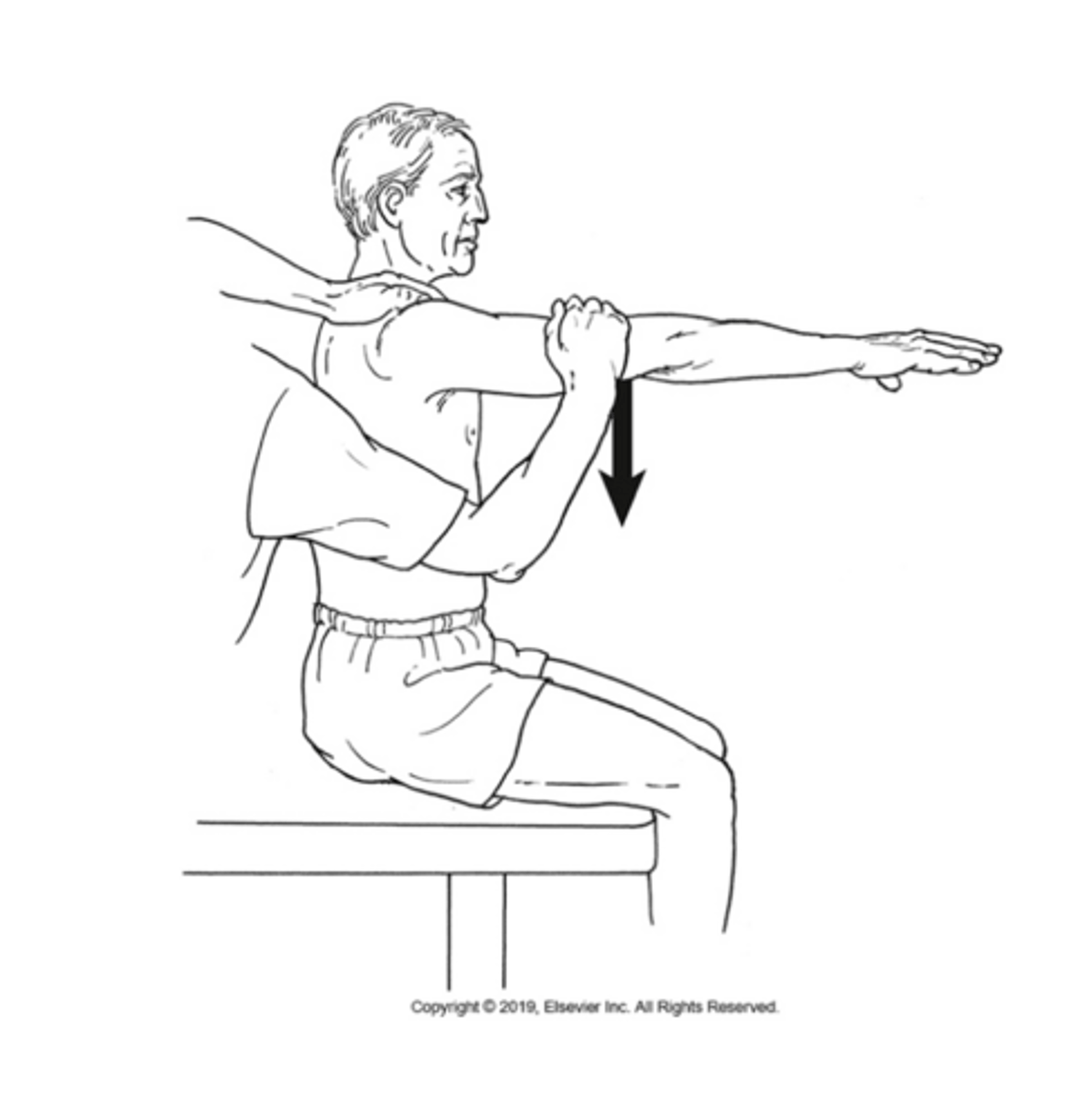 <p>Anterior deltoid, clavicular portion of pectoralis major; coracobrachialis</p>