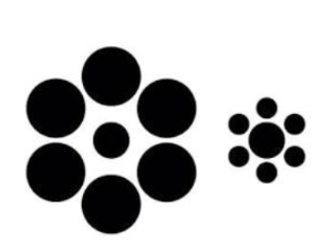 <p><span>Bottom-up processes</span></p>