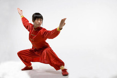 <p>wǔshù </p><p>martial arts</p>