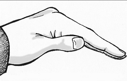 <p>this is the correct hand position for vibration. true or false?</p>