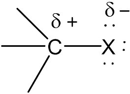 <p>polarised due to halogen being more electronegative than carbon…halogen draws electron pair in the bond away from carbon nearer to itself and carbon becomes positive </p>