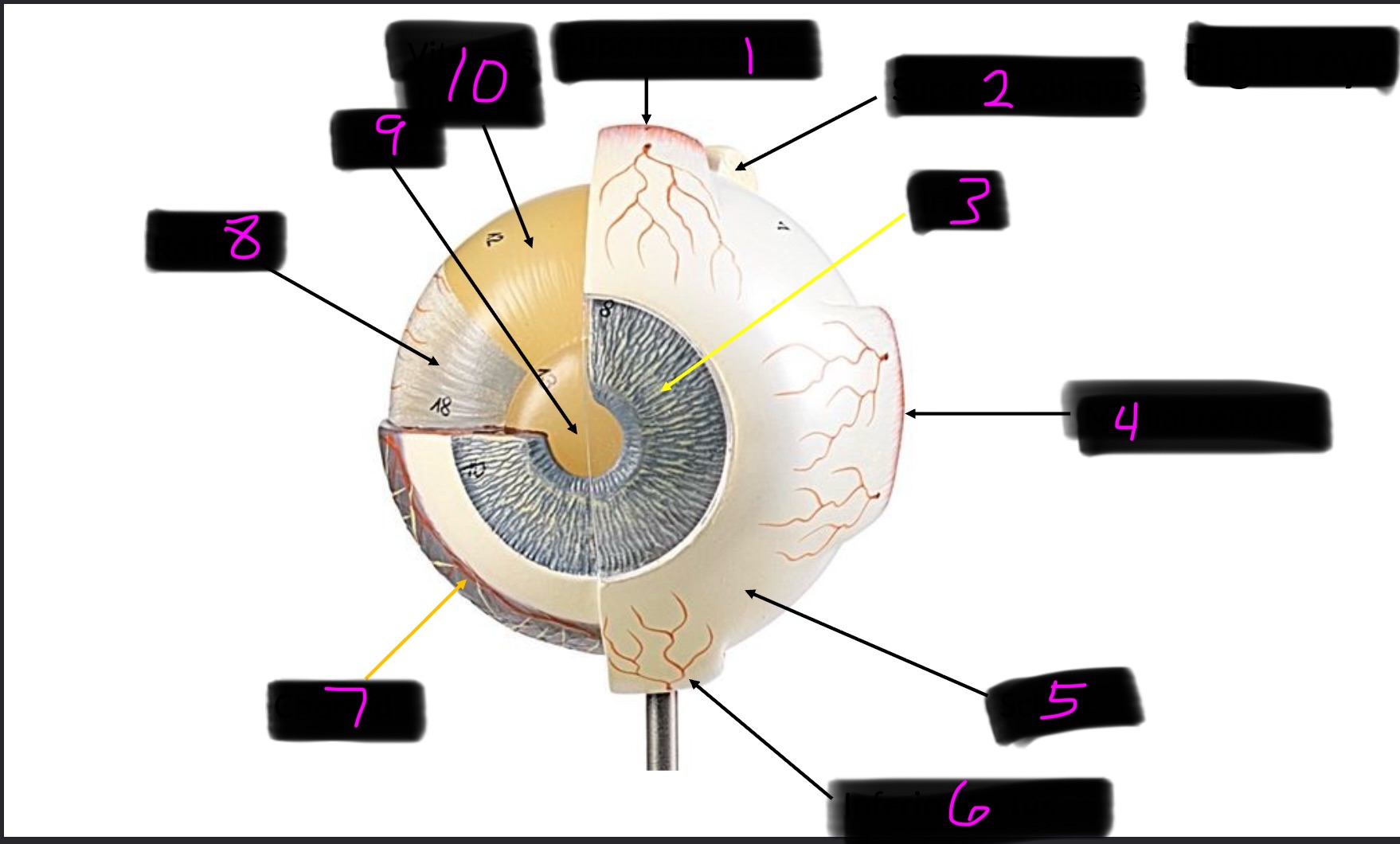 <p>8</p>