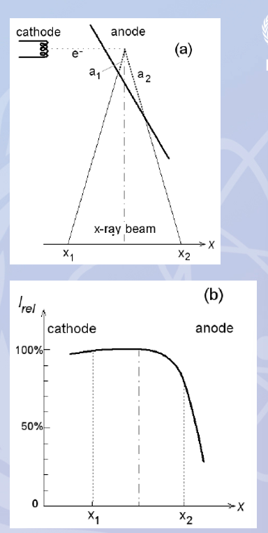 <p><strong><mark data-color="rgba(0, 0, 0, 0)" style="background-color: rgba(0, 0, 0, 0); color: inherit;">a variation in X-ray beam intensity along the longitudinal axis of the X-ray tube</mark></strong><span>, making the beam stronger on the cathode side and weaker on the anode side</span><br><br>smaller anode angles result in smaller effective focus sizes but limit the field of view as the x ray beam is cut off by the anode</p><p>additionally self-absorption of x-rays at depth within the anode results in an inhomogeneous x-ray intensity across the field.</p><p>this is exploited in Mammography tubes to decrease the incident air kerma from the chest wall to the nipple, matching the decrease in organ thickness</p>