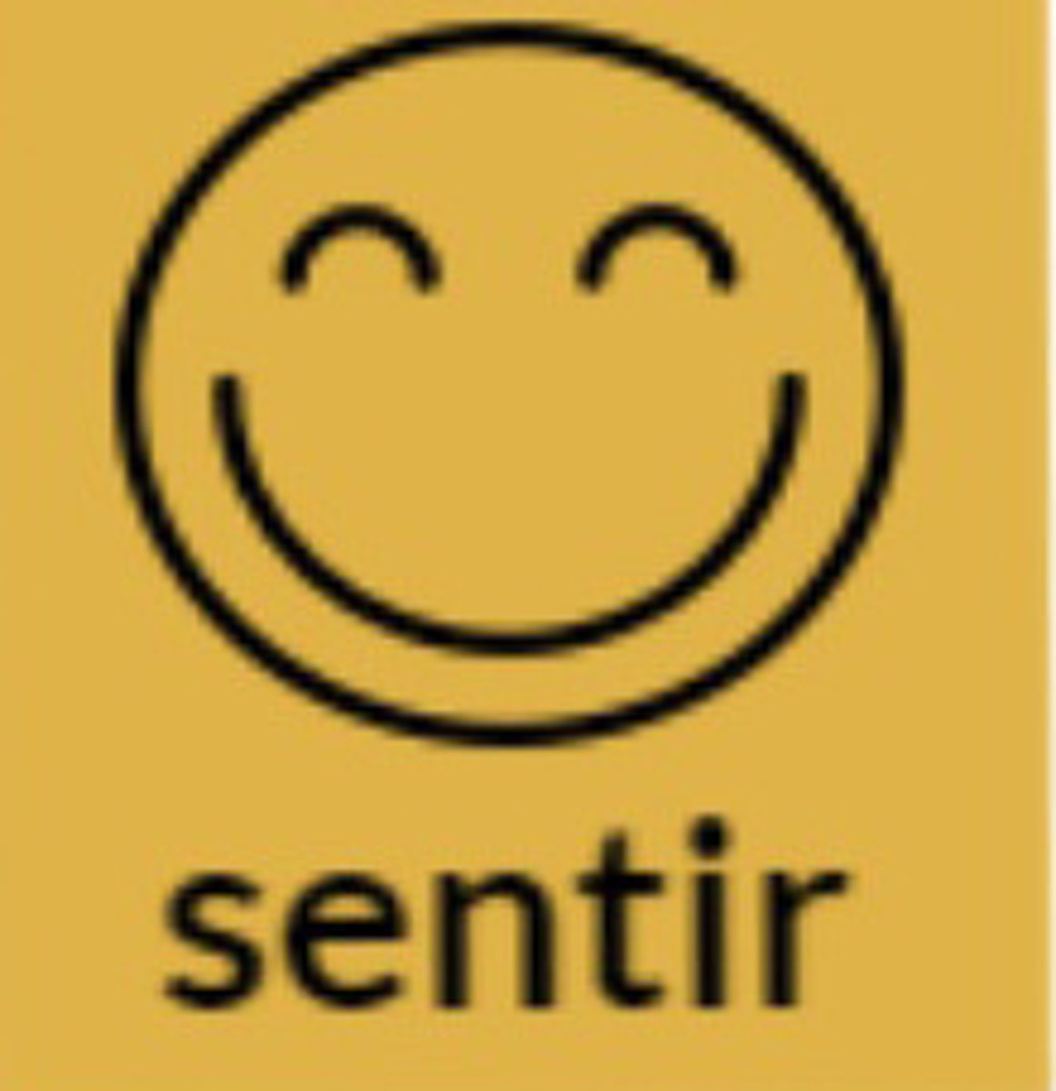 <p>I, you, he, she, you formal, we, you guys, they feel</p>