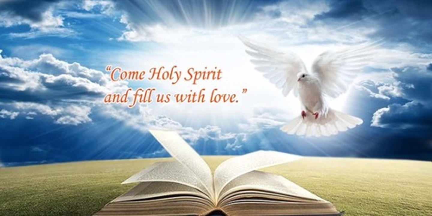 <p>soul, spirit, mind</p>