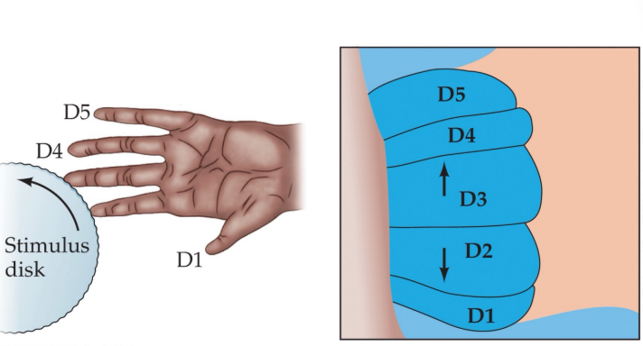 <p>EXPAND; SHRINK</p>