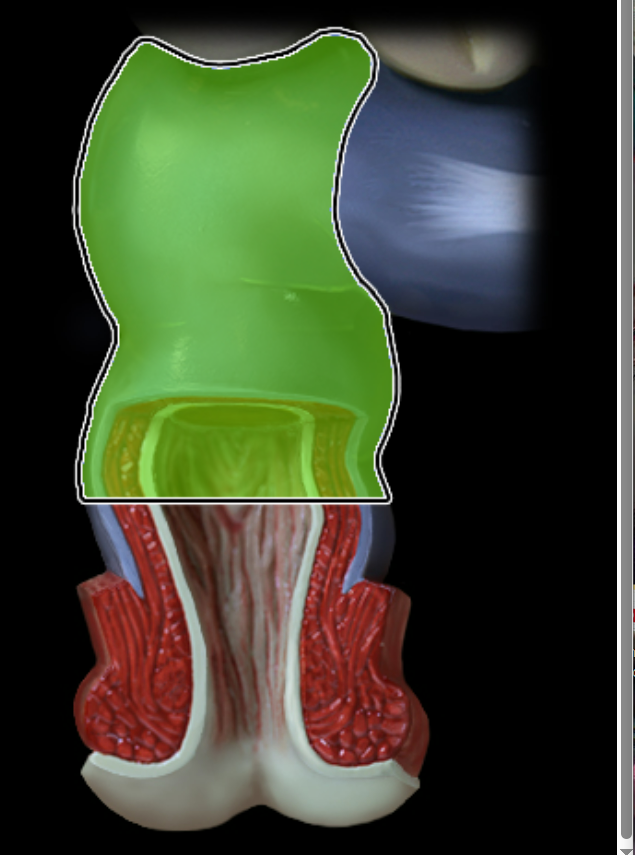 knowt flashcard image
