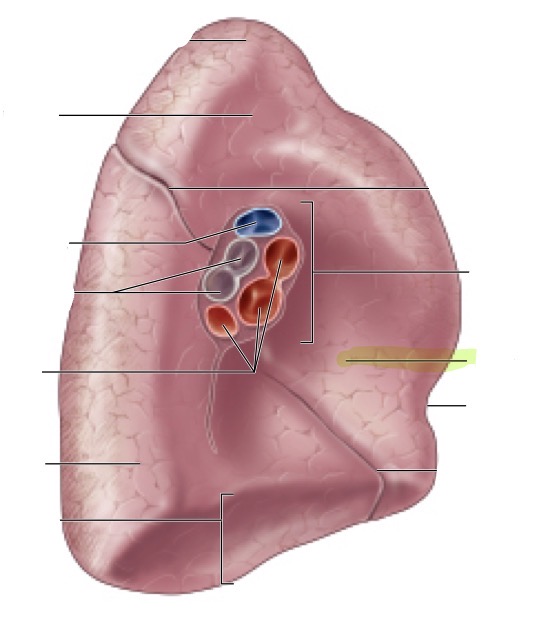 <p>what is this </p>