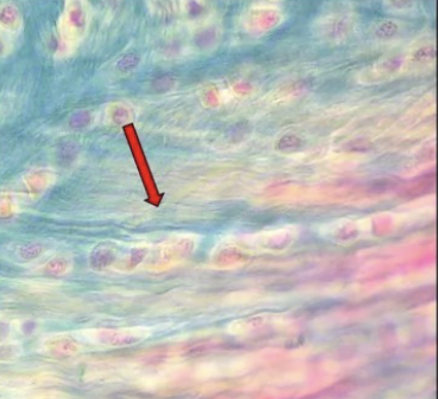 <p>?</p>