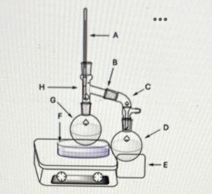 <p><span>What is the difference between the positioning of the thermometer at point H compared to the other similar setups we conducted this semester?</span></p><p></p>