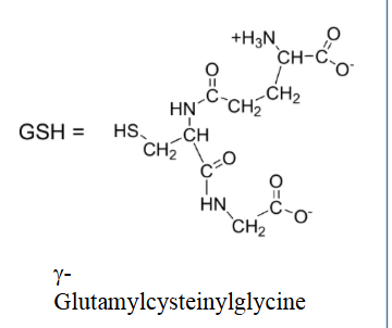 <p>What is glutathione (GSH) conjugation and why is it important?</p>