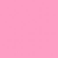 <p>A pig is often light _____.</p>