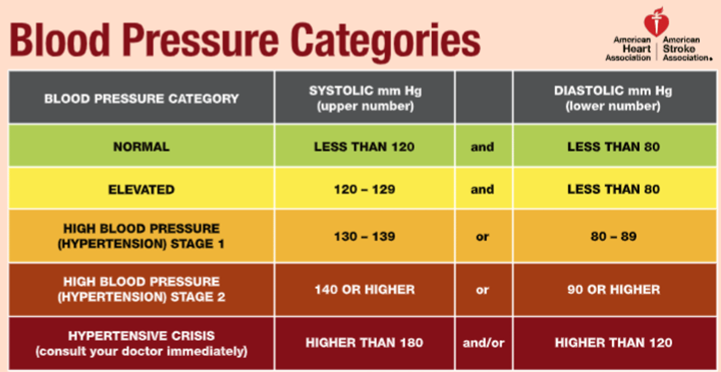 <p>• Normal: <120/<80</p><p>• Prehypertensive: 120-129/<80</p><p>• Stage 1 HTN: 130-139/ 80-89</p><p>• Stage 2 HTN: >/= 140/ >/= 90 </p><p>• HTN Crisis: >180 and/or > 120</p>