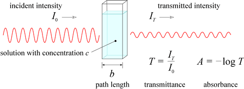 <ol><li><p>a beam of monochromatic light enters a solution</p></li><li><p>some of the light is absorbed </p></li><li><p>the remainder light passes through, strikes a light detector, and is converted to an electric signal (% transmittance= the ratio of the radiant energy transmitted (T) divided by the radiant energy incident on the sample (I)) </p></li></ol><p></p>
