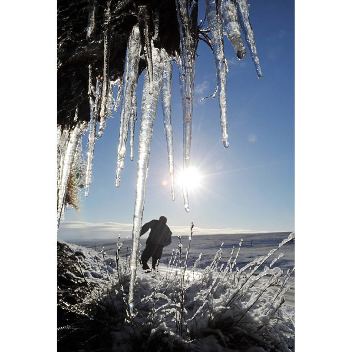 <p>>< light frost</p>