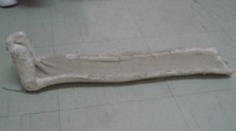 <p><span>Postpolio</span></p>