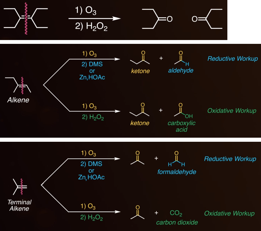 <p><span style="background-color: transparent;">alkene is cut down the middle to make two carbonyl containing compounds.</span></p><ul><li><p><span style="background-color: transparent;">Reagents:</span></p><ul><li><p><span style="background-color: transparent;">1: O<sub>3</sub></span></p></li><li><p><span style="background-color: transparent;">2: H<sub>2</sub>O<sub>2</sub> for oxidative (carboxylic acid or carbon dioxide)</span></p></li><li><p><span style="background-color: transparent;">2: DMS or Zn,HOAc for reductive (aldehyde or formaldehyde)</span></p></li></ul></li><li><p><span style="background-color: transparent;">Fully substituted: makes two ketones</span></p></li><li><p><span style="background-color: transparent;">Non-fully substituted: makes an aldehyde if DMS or Zn,HOAc, or a carboxylic acid if H<sub>2</sub>O<sub>2</sub>.</span></p></li><li><p><span style="background-color: transparent;">Terminal alkene: terminal side makes a formaldehyde if DMS or Zn,HOAc, or carbon dioxide if H<sub>2</sub>O<sub>2</sub>.</span></p></li></ul><p></p>
