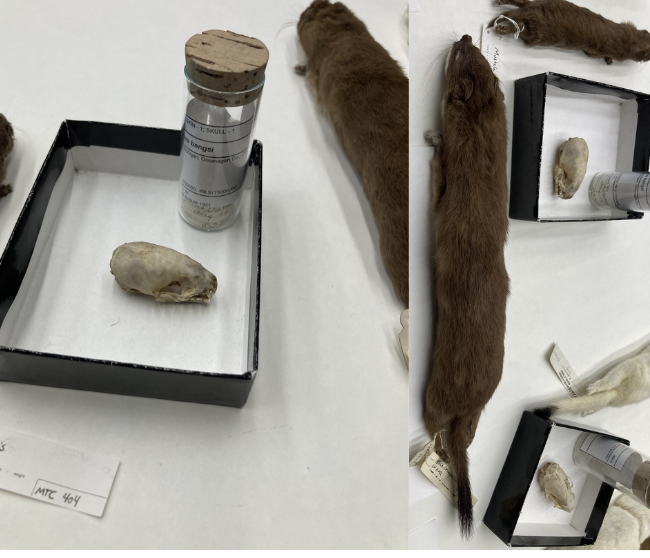 <p>What is this?</p>