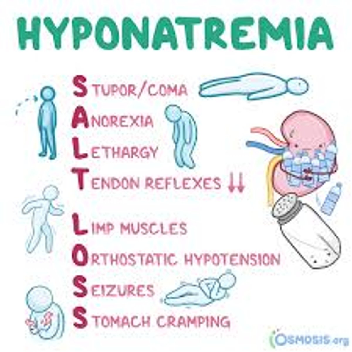 <p>A) Headache, loss of consciousness, seizures, coma, nausea, vomiting, confusion, muscle cramps, and death</p>